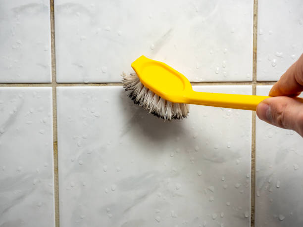 Best Mold Remediation  in Glenmora, LA