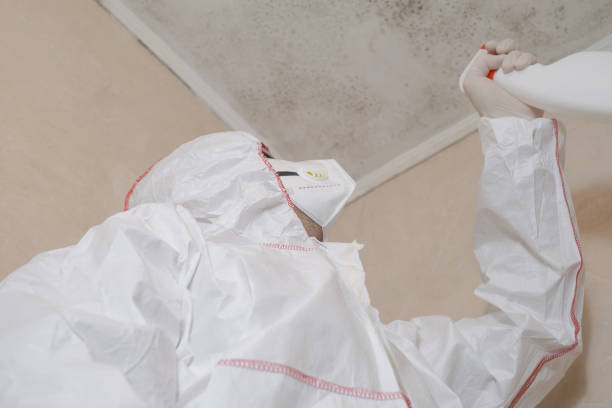Best Emergency Mold Removal  in Glenmora, LA